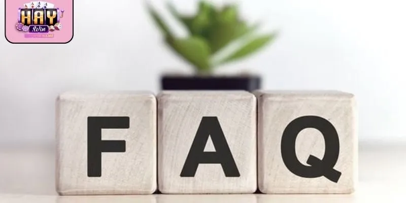 Câu hỏi thường gặp khuyến mãi và hỗ trợ kỹ thuật giúp trải nghiệm hiệu quả 